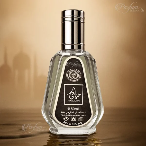 Hayaati — parfum masculin notes marines agrumes ambre — boutique parfum en France livraison 24h