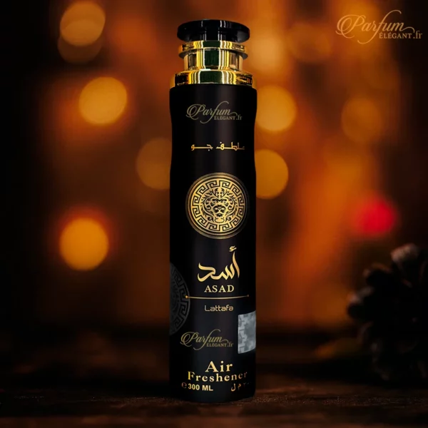 parfum maison masculin luxe oriental pour canapé voiture et dressing
