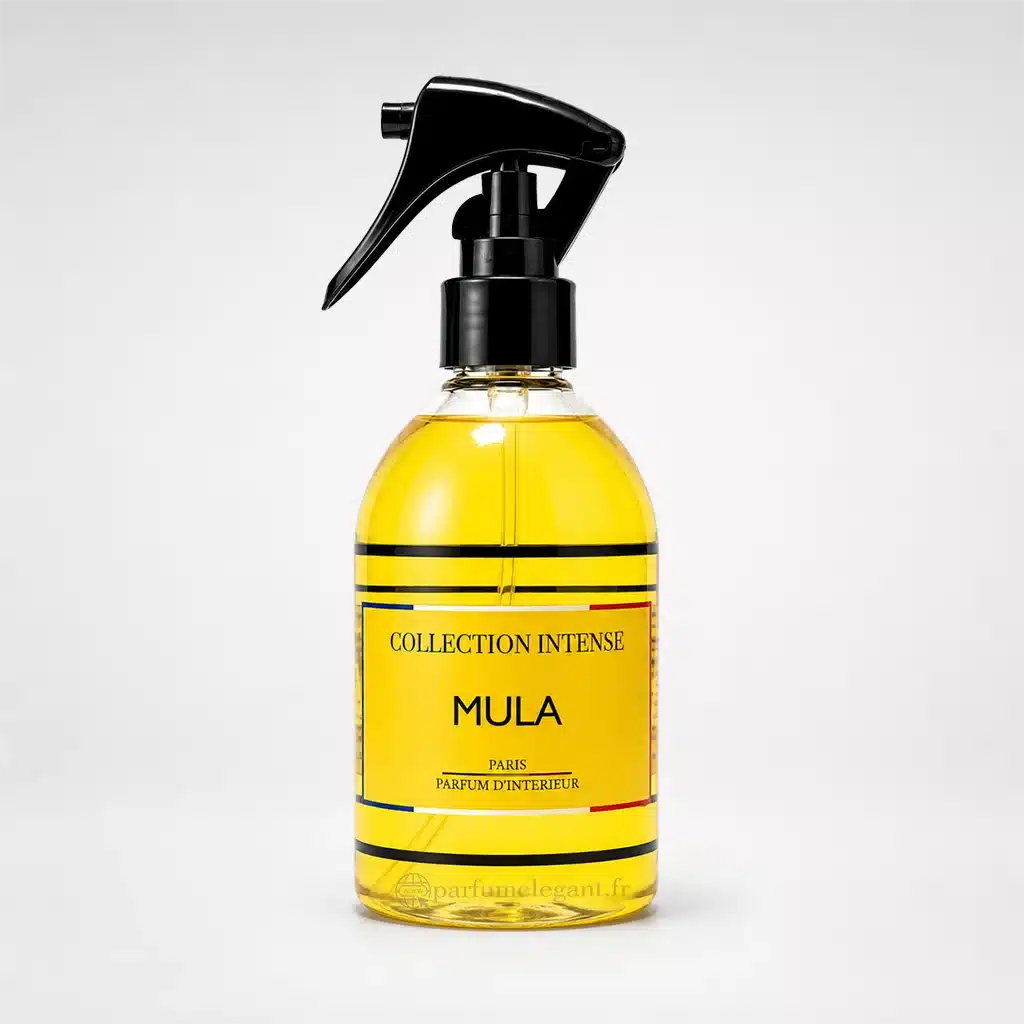 Spray Mula – Parfum d’Intérieur Oriental Sucré & Ambré | Collection Intense Paris 1 Spray Mula Collection Intense parfum d'intérieur