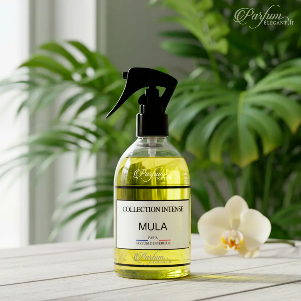 Spray Mula – Parfum d’Intérieur Oriental Sucré & Ambré | Collection Intense Paris 2 Spray parfum d’intérieur Mula Collection Intense, senteur fraîche et végétale pour parfumer la maison et créer une ambiance propre et élégante