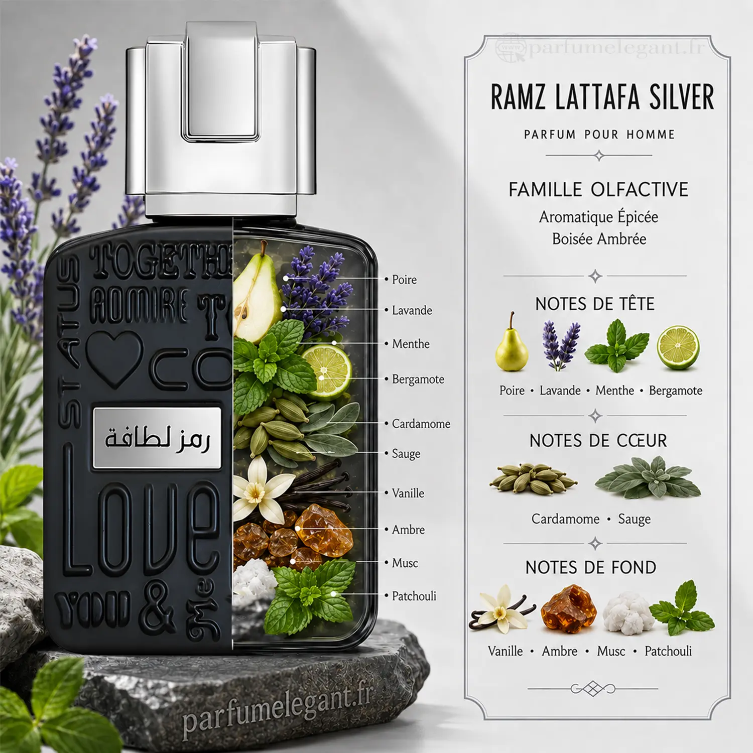 Ramz Lattafa Silver Eau de Parfum Homme 100 ml 4 Ramz Lattafa Silver de Lattafa avec illustration des notes olfactives : poire, lavande, menthe, bergamote, cardamome, sauge, vanille, ambre, musc et patchouli.