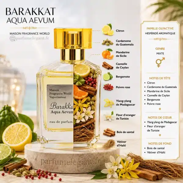 Notes olfactives Barakkat Aqua Aevum Notes Barakkat Aqua Aevum citron cardamome mandarine ylang-ylang santal et vétiver